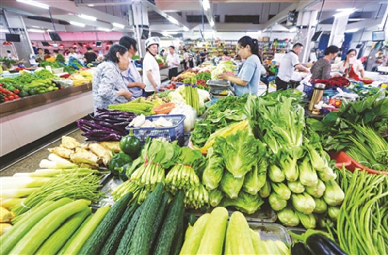临海蔬菜种植实战攻略:不同作物的种植技巧对比