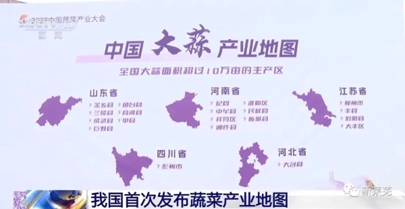 当季水果批发,如何挑选新鲜又实惠的宝贝?